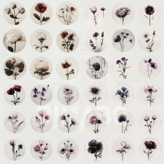 PNG Bundle 56 Flowers 1 - Digital Download only - 56 different vintage flower illustrations - transparent background