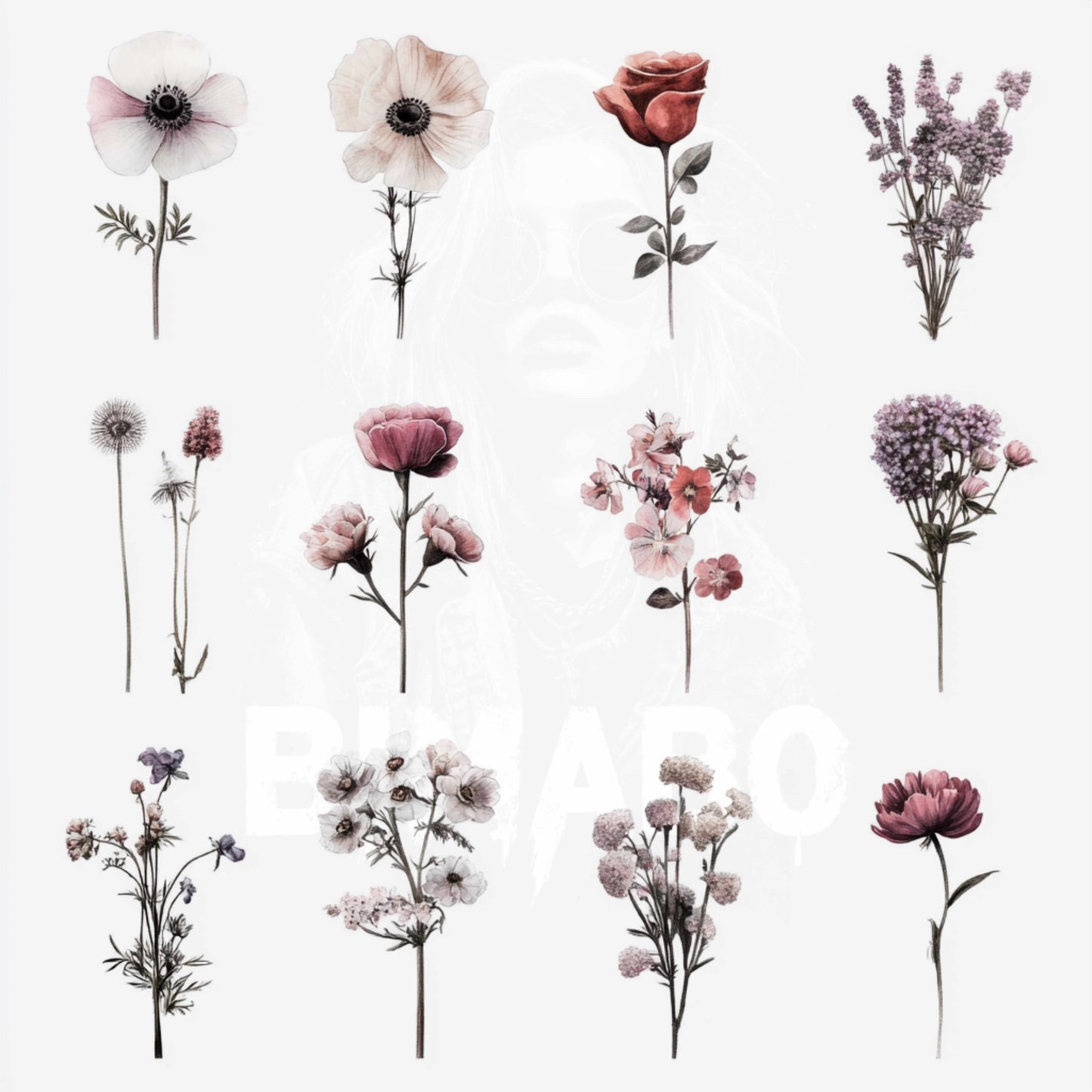 PNG Bundle 56 Flowers 1 - Digital Download only -  56 different vintage flower illustrations - transparent background
