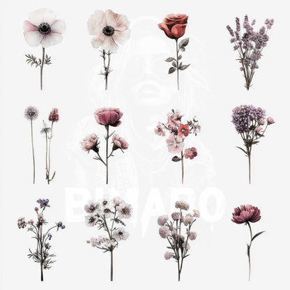 PNG Bundle 56 Flowers 1 - Digital Download only -  56 different vintage flower illustrations - transparent background