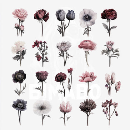 PNG Bundle 56 Flowers 1 - Digital Download only -  56 different vintage flower illustrations - transparent background