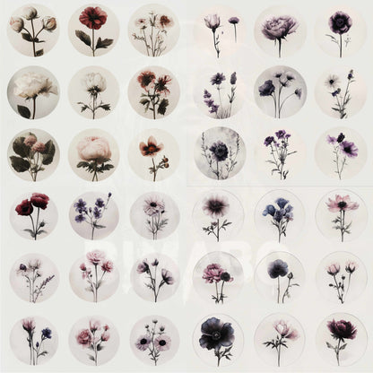 PNG Bundle 56 Flowers 1 - Digital Download only -  56 different vintage flower illustrations - transparent background