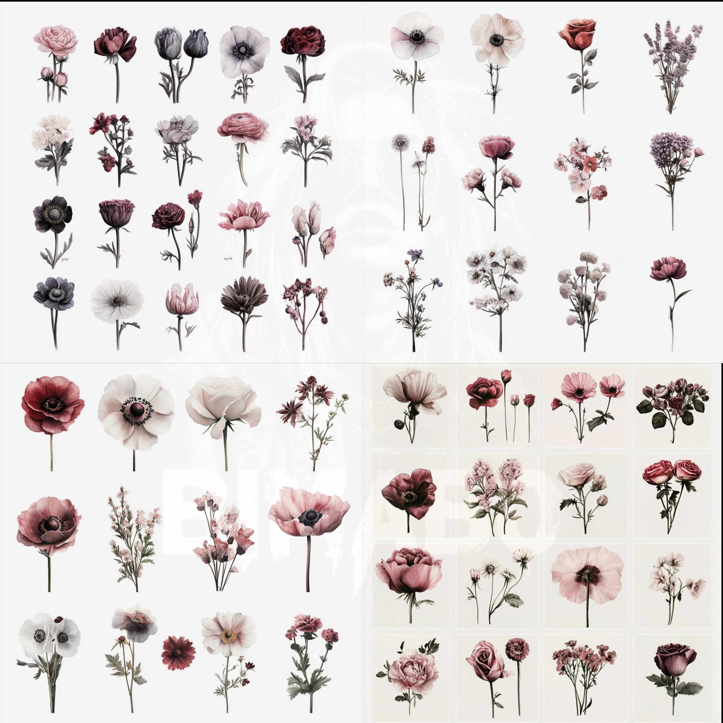 PNG Bundle 56 Flowers 1 - Digital Download only -  56 different vintage flower illustrations - transparent background