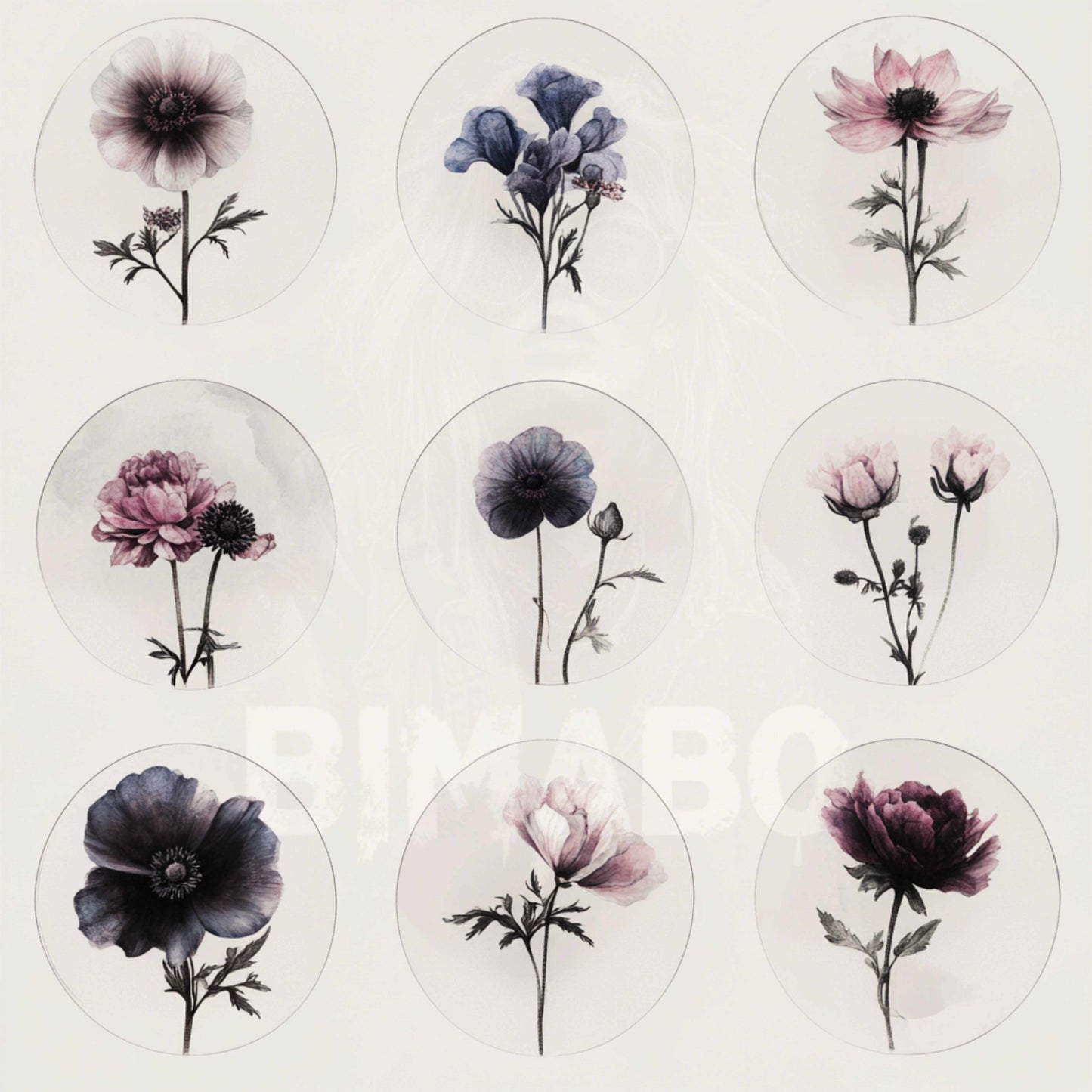 PNG Bundle 56 Flowers 1 - Digital Download only -  56 different vintage flower illustrations - transparent background