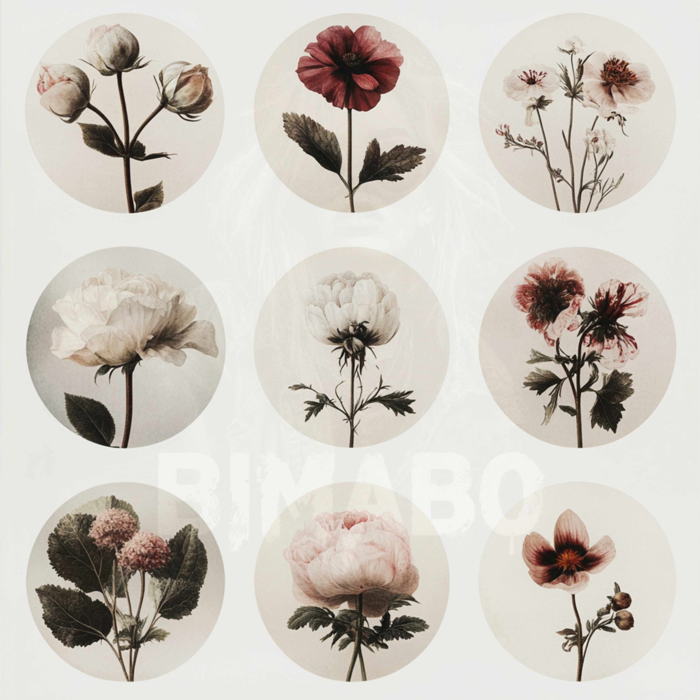 PNG Bundle 56 Flowers 1 - Digital Download only -  56 different vintage flower illustrations - transparent background