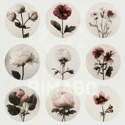 PNG Bundle 56 Flowers 1 - Digital Download only -  56 different vintage flower illustrations - transparent background