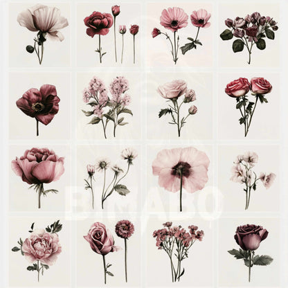 PNG Bundle 56 Flowers 1 - Digital Download only -  56 different vintage flower illustrations - transparent background