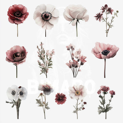 PNG Bundle 56 Flowers 1 - Digital Download only -  56 different vintage flower illustrations - transparent background